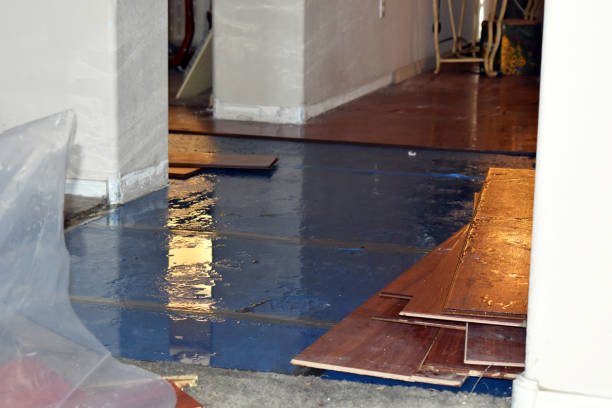 Professional Basement Flood Cleanup technician working in Tahuya, WA